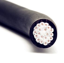 Plastikowy łańcuch przeciągany Dwurdzeniowy ekranowany kabel z izolacją PVC i powłoką PVC